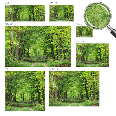 Fotomurale adesivo Sentiero nel bosco