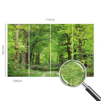Fotomurale adesivo Sentiero nel bosco
