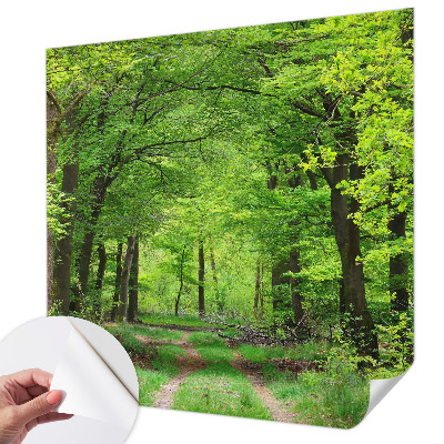 Fotomurale adesivo Sentiero nel bosco