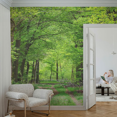 Fotomurale adesivo Sentiero nel bosco