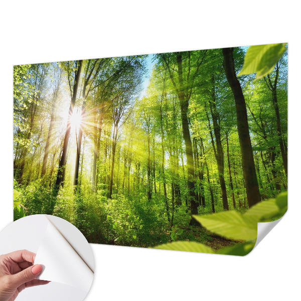 Carta da parati 3D Luce di formicaio