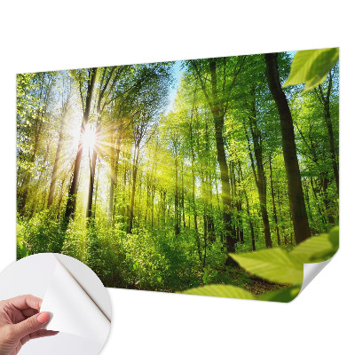 Carta da parati 3D Luce di formicaio