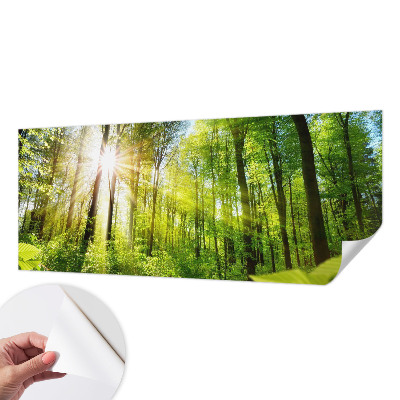 Carta da parati 3D Luce di formicaio