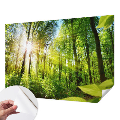 Carta da parati 3D Luce di formicaio