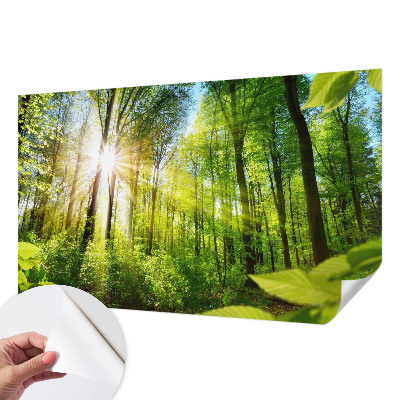 Carta da parati 3D Luce di formicaio