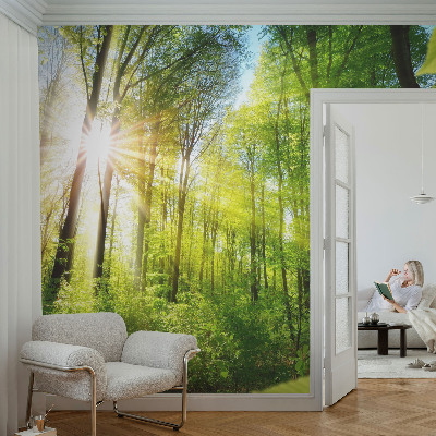 Carta da parati 3D Luce di formicaio