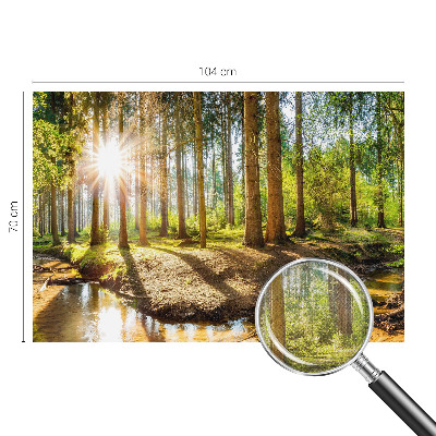 Fotomurale effetto 3D Idillio nella foresta