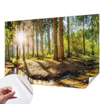Fotomurale effetto 3D Idillio nella foresta