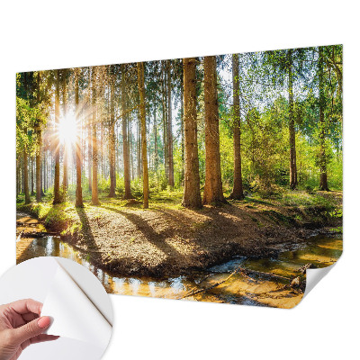 Fotomurale effetto 3D Idillio nella foresta