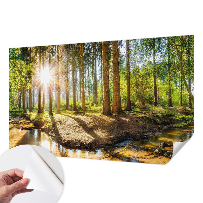 Fotomurale effetto 3D Idillio nella foresta