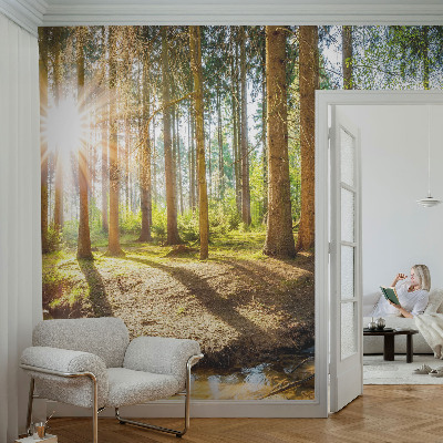 Fotomurale effetto 3D Idillio nella foresta