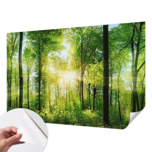 Carta da parati cameretta Armonia della foresta