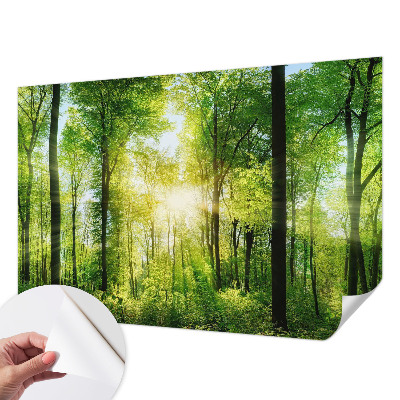 Carta da parati cameretta Armonia della foresta
