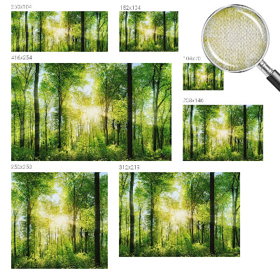 Carta da parati cameretta Armonia della foresta
