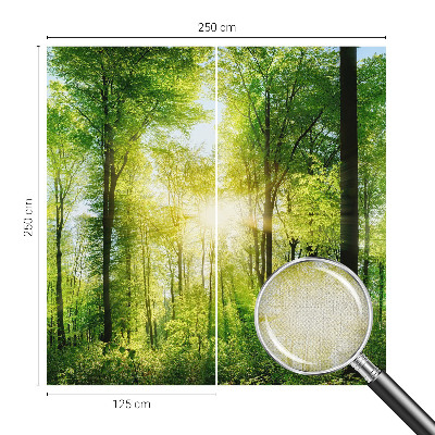 Carta da parati cameretta Armonia della foresta