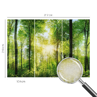 Carta da parati cameretta Armonia della foresta