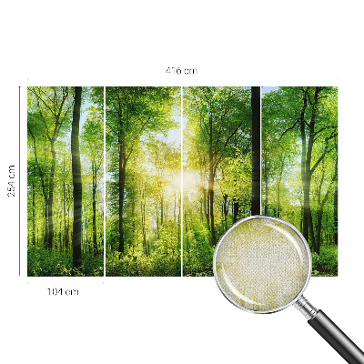 Carta da parati cameretta Armonia della foresta