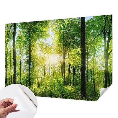 Carta da parati cameretta Armonia della foresta
