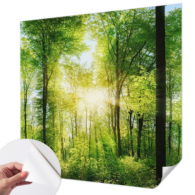 Carta da parati cameretta Armonia della foresta