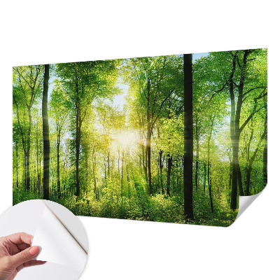 Carta da parati cameretta Armonia della foresta