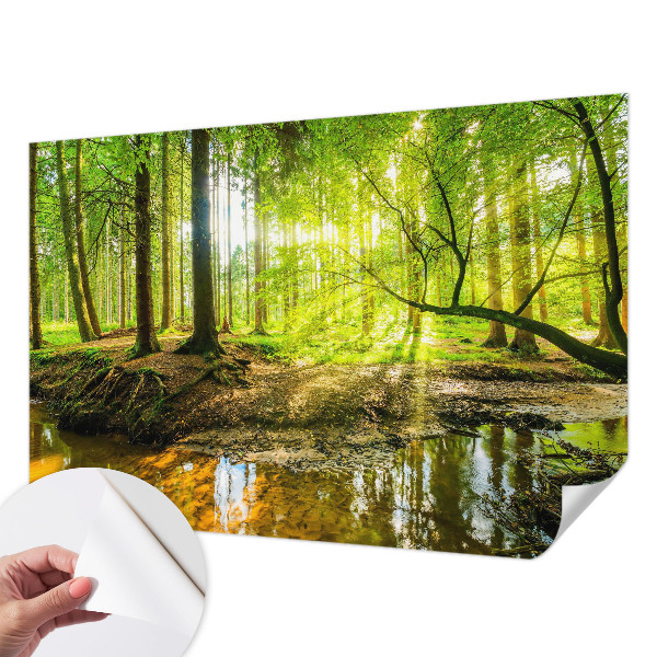 Carta da parati adesiva Paesaggio verde