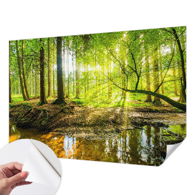 Carta da parati adesiva Paesaggio verde