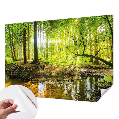 Carta da parati adesiva Paesaggio verde