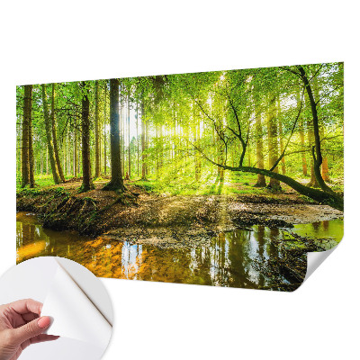 Carta da parati adesiva Paesaggio verde