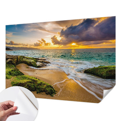 Fotomurale adesivo Armonia marittima