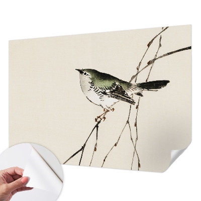 Carta da parati effetto profondità Uccello armonioso