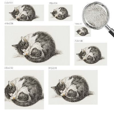Fotomurale effetto 3D Adorabile gattino