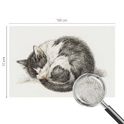 Fotomurale effetto 3D Adorabile gattino