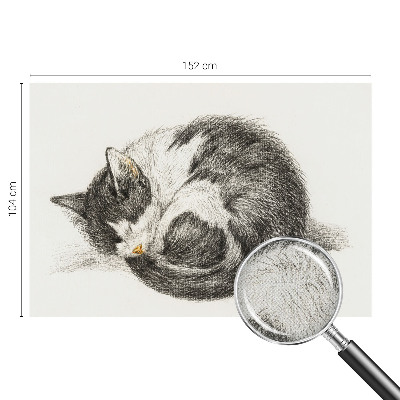Fotomurale effetto 3D Adorabile gattino