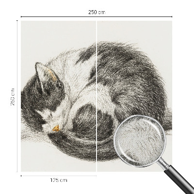 Fotomurale effetto 3D Adorabile gattino