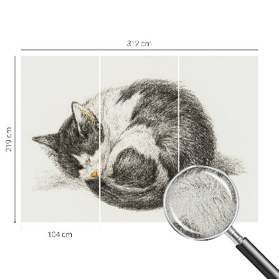 Fotomurale effetto 3D Adorabile gattino