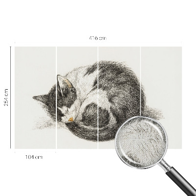 Fotomurale effetto 3D Adorabile gattino
