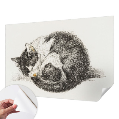 Fotomurale effetto 3D Adorabile gattino