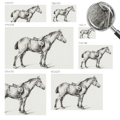 Carta da parati panoramica effetto 3D Schizzo di un cavallo