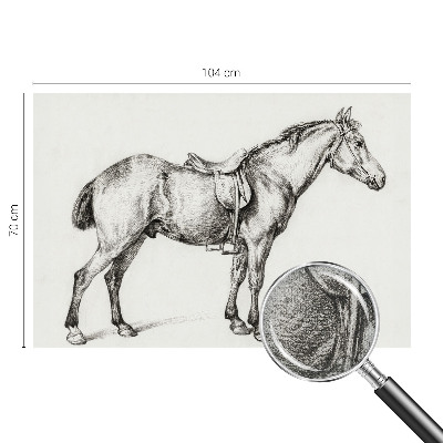Carta da parati panoramica effetto 3D Schizzo di un cavallo