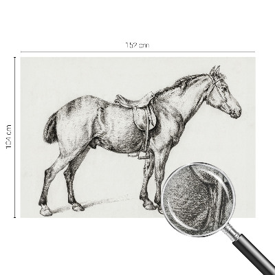 Carta da parati panoramica effetto 3D Schizzo di un cavallo