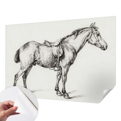 Carta da parati panoramica effetto 3D Schizzo di un cavallo