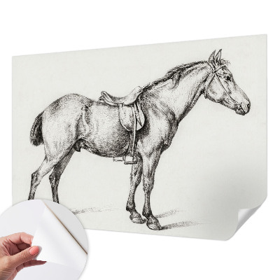 Carta da parati panoramica effetto 3D Schizzo di un cavallo