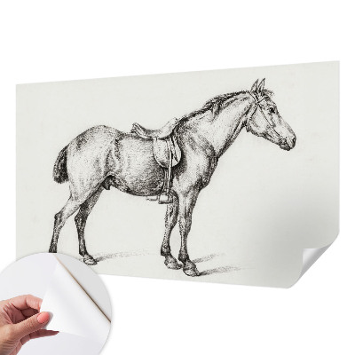 Carta da parati panoramica effetto 3D Schizzo di un cavallo