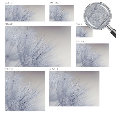 Carta da parati per cameretta dente di leone rugiadoso