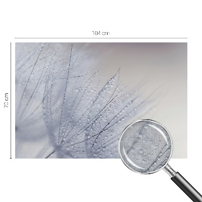 Carta da parati per cameretta dente di leone rugiadoso