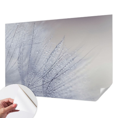 Carta da parati per cameretta dente di leone rugiadoso