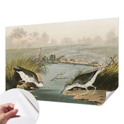 Fotomurale adesivo Un paesaggio tranquillo