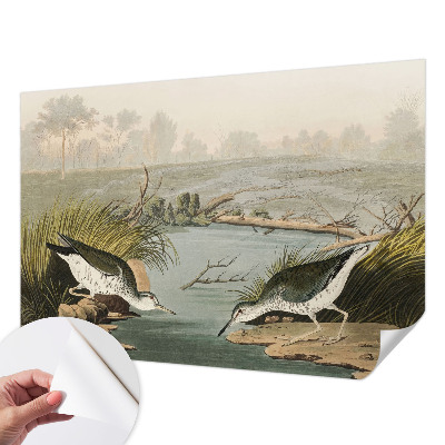 Fotomurale adesivo Un paesaggio tranquillo