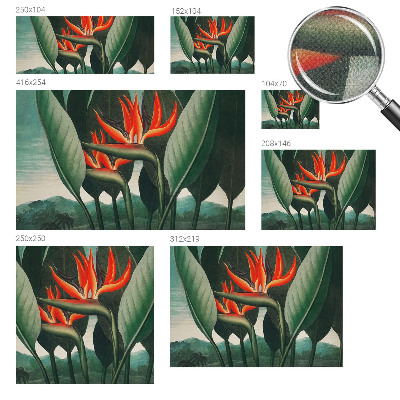 Fotomurale per cameretta Fiori esotici