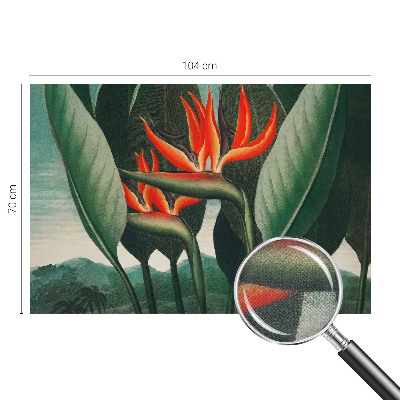 Fotomurale per cameretta Fiori esotici